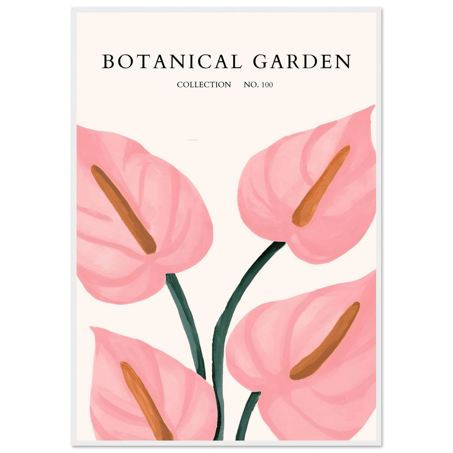 Botanical Garden Framed Poster – Pink Anthurium Bloom Art Print | Elegant & Ready-to-Hang - Vibrantwalls