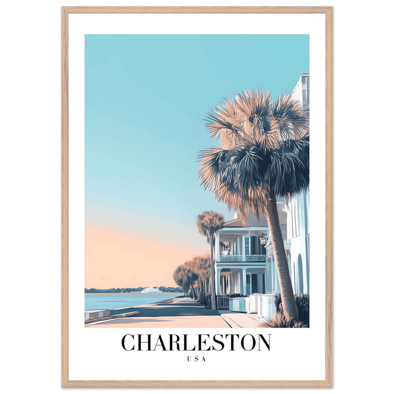 Charleston USA Wall Art - Vibrantwalls