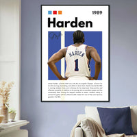 James Harden Wall Art - Vibrantwalls