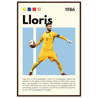 Hugo Lloris Wall Art - Vibrantwalls