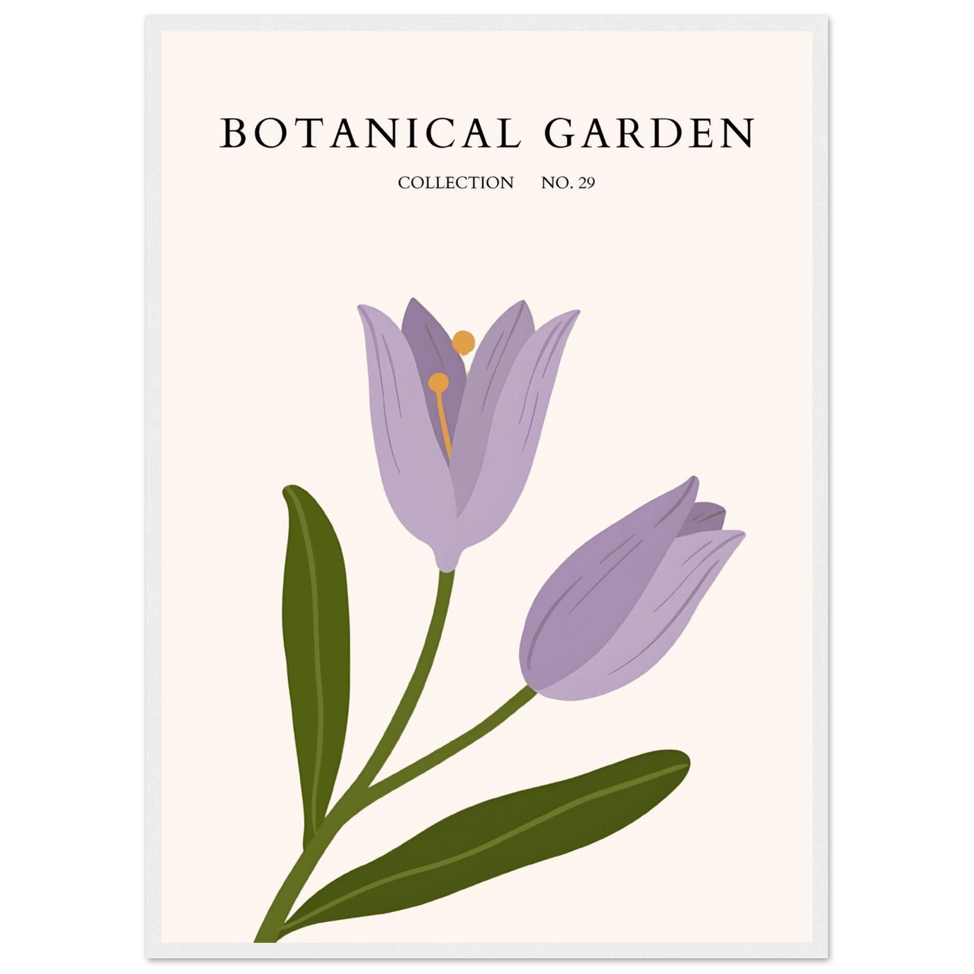 Botanical Garden Lavender Bloom Minimalist Framed Art - Vibrantwalls