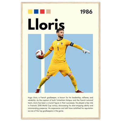 Hugo Lloris France Goalkeeper Football Poster 60x90 cm 24x36″ Wood frame Vibrantwalls
