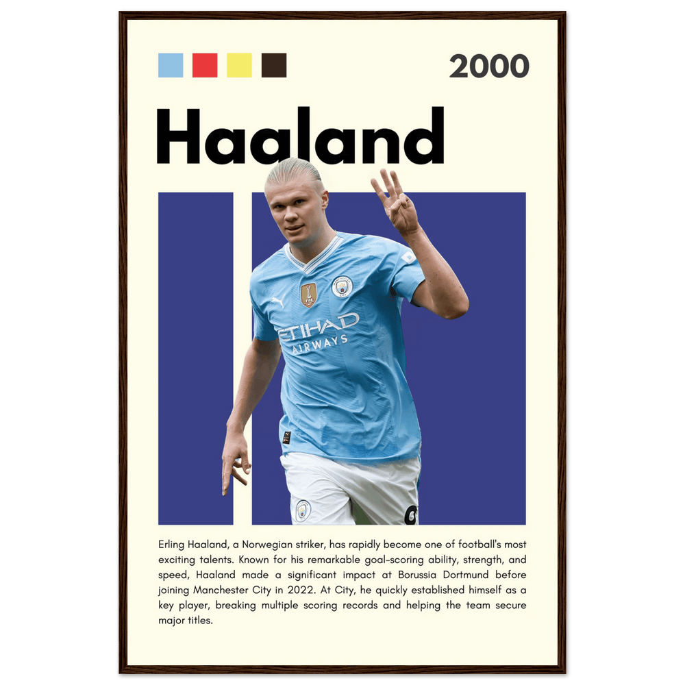 Erling Haaland Wall Art - Vibrantwalls