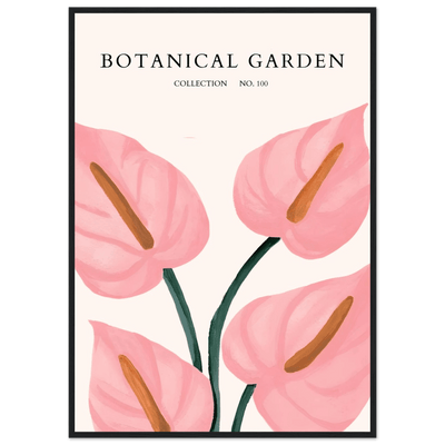 Botanical Garden Framed Poster – Pink Anthurium Bloom Art Print | Elegant & Ready-to-Hang - Vibrantwalls