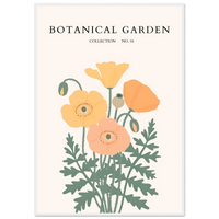 Botanical Garden Poppy Wall Art - Vibrantwalls
