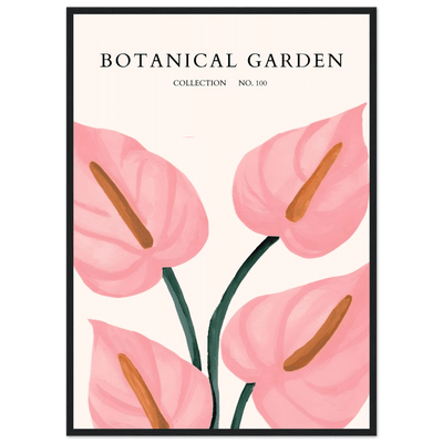 Botanical Garden Framed Poster – Pink Anthurium Bloom Art Print | Elegant & Ready-to-Hang - Vibrantwalls