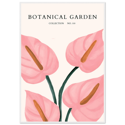 Botanical Garden Framed Poster – Pink Anthurium Bloom Art Print | Elegant & Ready-to-Hang - Vibrantwalls