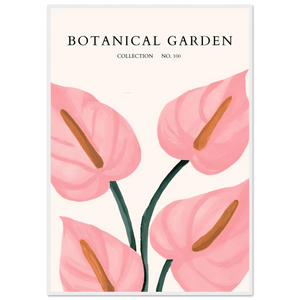 Botanical Garden Framed Poster – Pink Anthurium Bloom Art Print | Elegant & Ready-to-Hang - Vibrantwalls