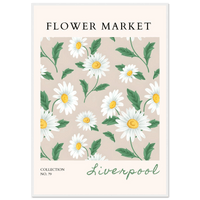 Daisy Field Flower Market Wall Art - Vibrantwalls
