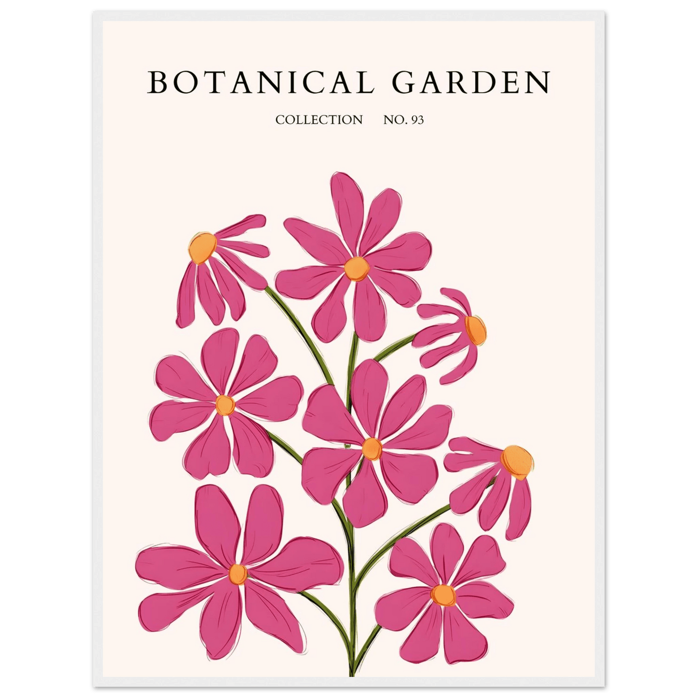 Vibrant Botanical Garden Framed Poster – Pink Cosmos & Abstract Floral Art Print | Ready-to-Hang in Various Sizes - Vibrantwalls